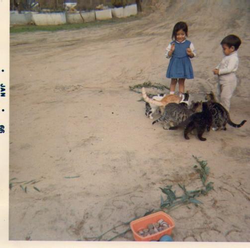 Joanne and Vincet (2yrs.old) playing with the cats at Aunt Minnie's house. 1964